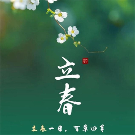花色直播｜花色直播奇遇记，解锁个性直播新风尚-4