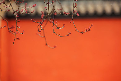 一摸二脱三插：智能设备普及背后,你的隐私安全如何保障