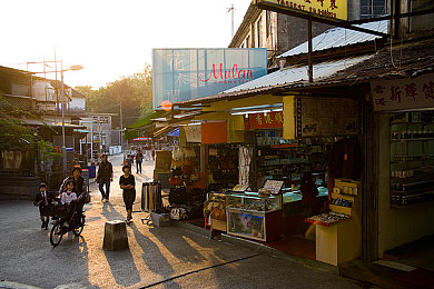 申鹤奖励旅行者的样子｜神秘申鹤引领传奇之旅：挑战与角色塑造的虚拟探险揭秘-4