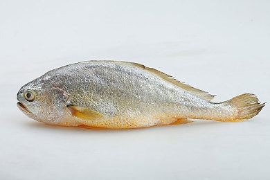 污污污开车视频APP｜笑料横生，猎奇无限：“污污污”APP打造独特视听盛宴-1