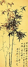 free 性护士vidos韩国,韩国护士的医疗使命：深入体验真实医院挑战与成长-4