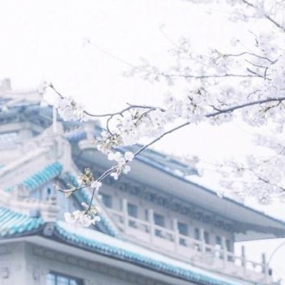 柚子猫COS情人节礼物,网络红人柚子猫情人节COSPLAY惊喜 创意礼物感动粉丝-1